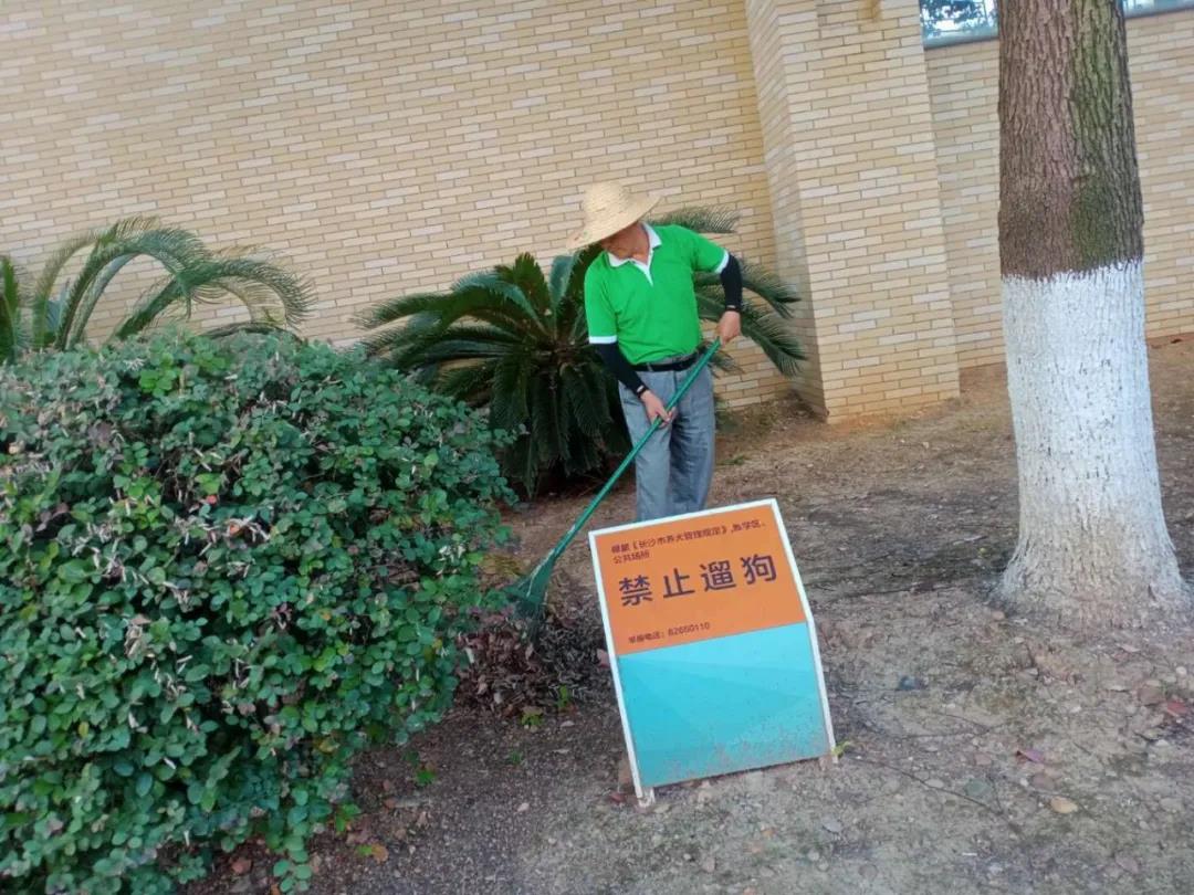 湖南保安服務,墻外高空清洗服務,湖南保利天創(chuàng)物業(yè)發(fā)展有限公司 湖南保安服務,墻外高空清洗服務,湖南保利天創(chuàng)物業(yè)發(fā)展有限公司
